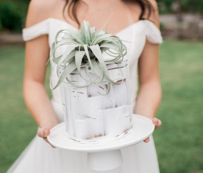 creative cake-toppers: succulents, air plants, and cacti!